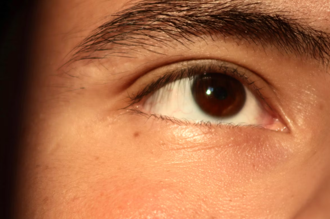 oeil marron d'un homme
